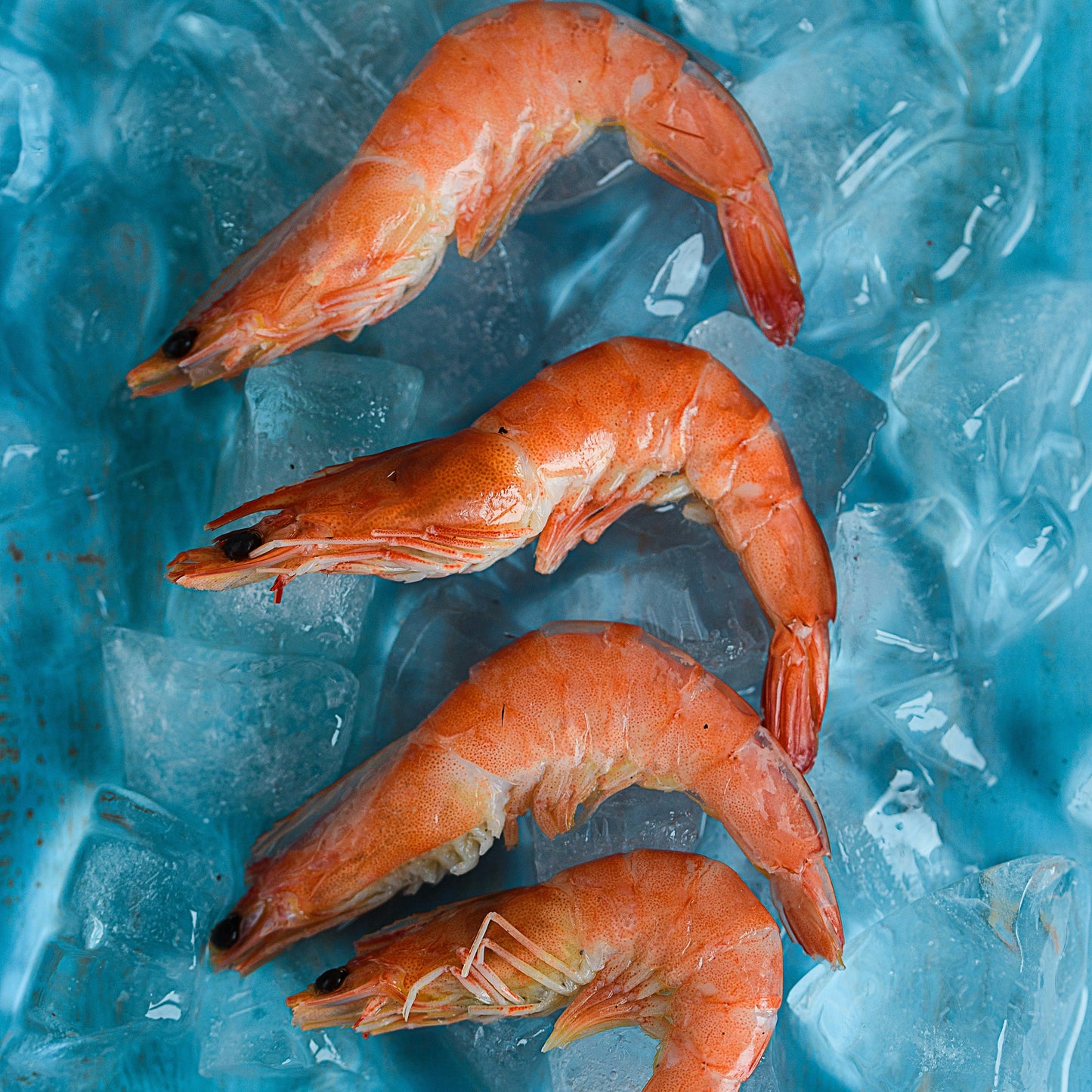 Premium Australian Cooked Prawns - 1kg Pouch