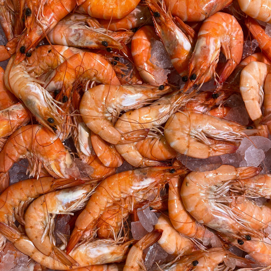 Premium Australian Cooked Prawns - 3kg Box